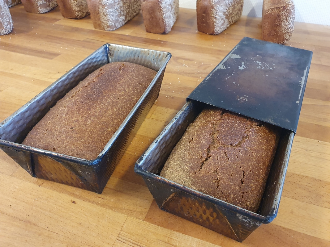 Enkornbrd Honning Salt